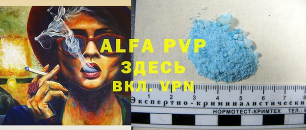 спиды Верея