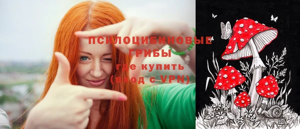 МДПВ Верхний Тагил