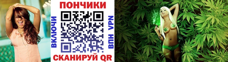 Конопля ГИДРОПОН  Королёв 
